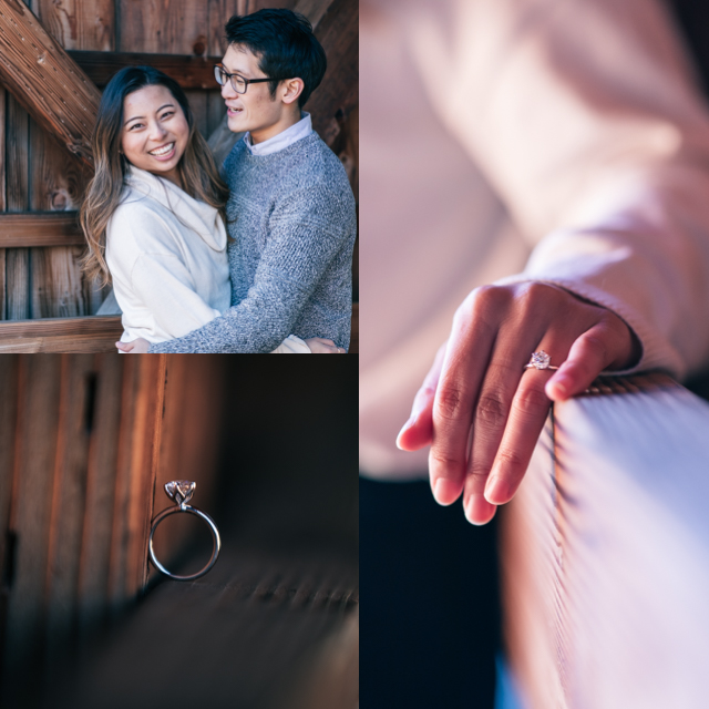 Roswell Engagement Photographer